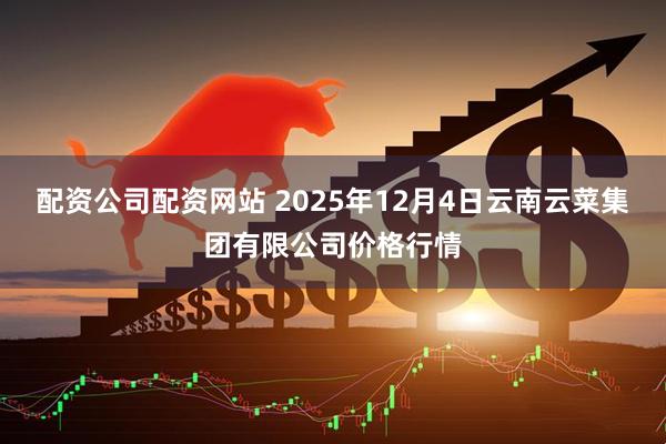配资公司配资网站 2025年12月4日云南云菜集团有限公司价格行情