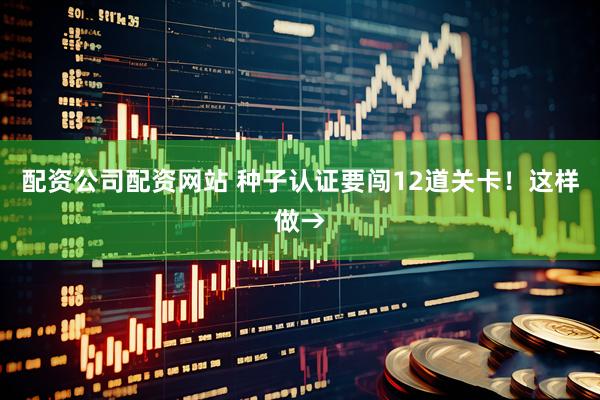 配资公司配资网站 种子认证要闯12道关卡！这样做→