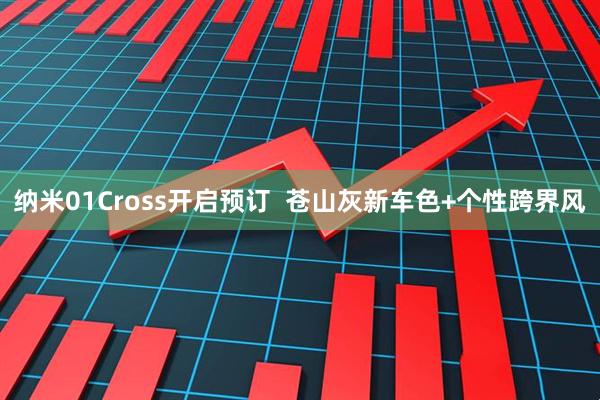 纳米01Cross开启预订 苍山灰新车色+个性跨界风