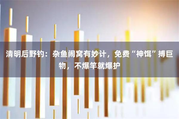 清明后野钓:杂鱼闹窝有妙计,免费“神饵”搏巨物,不爆竿就爆护