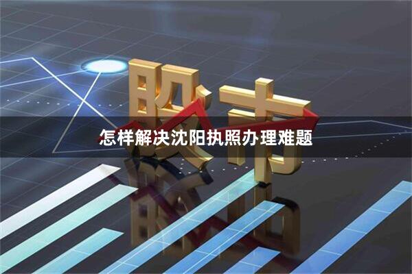 怎样解决沈阳执照办理难题