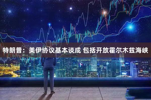 特朗普：美伊协议基本谈成 包括开放霍尔木兹海峡