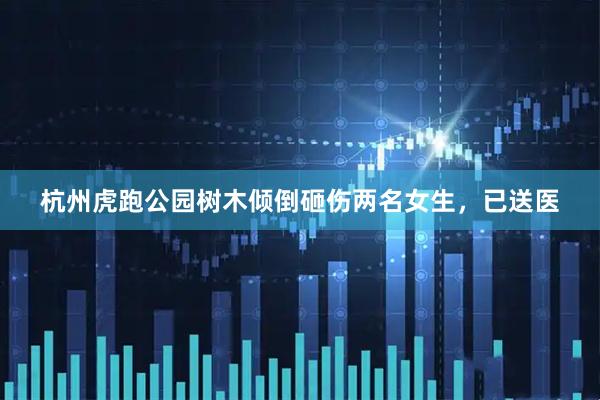 杭州虎跑公园树木倾倒砸伤两名女生，已送医