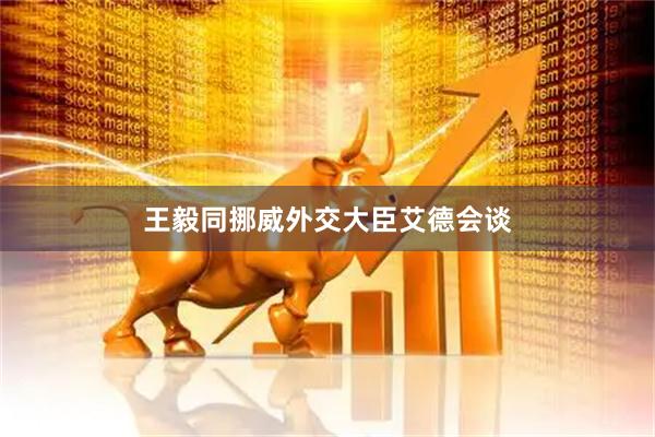 王毅同挪威外交大臣艾德会谈