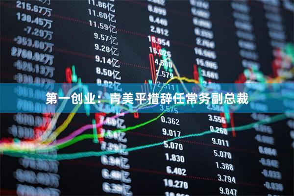 第一创业：青美平措辞任常务副总裁